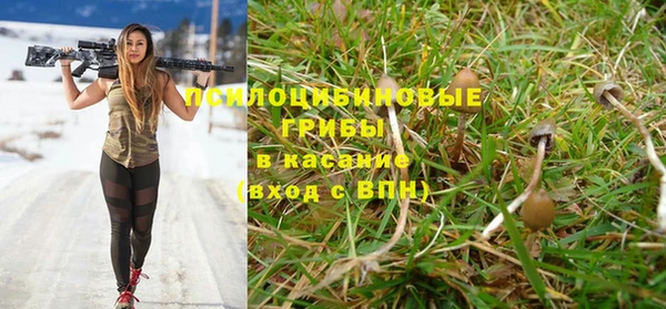 альфа пвп Гусев