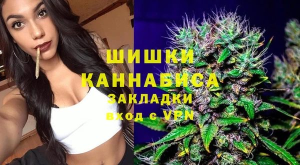 альфа пвп Гусев